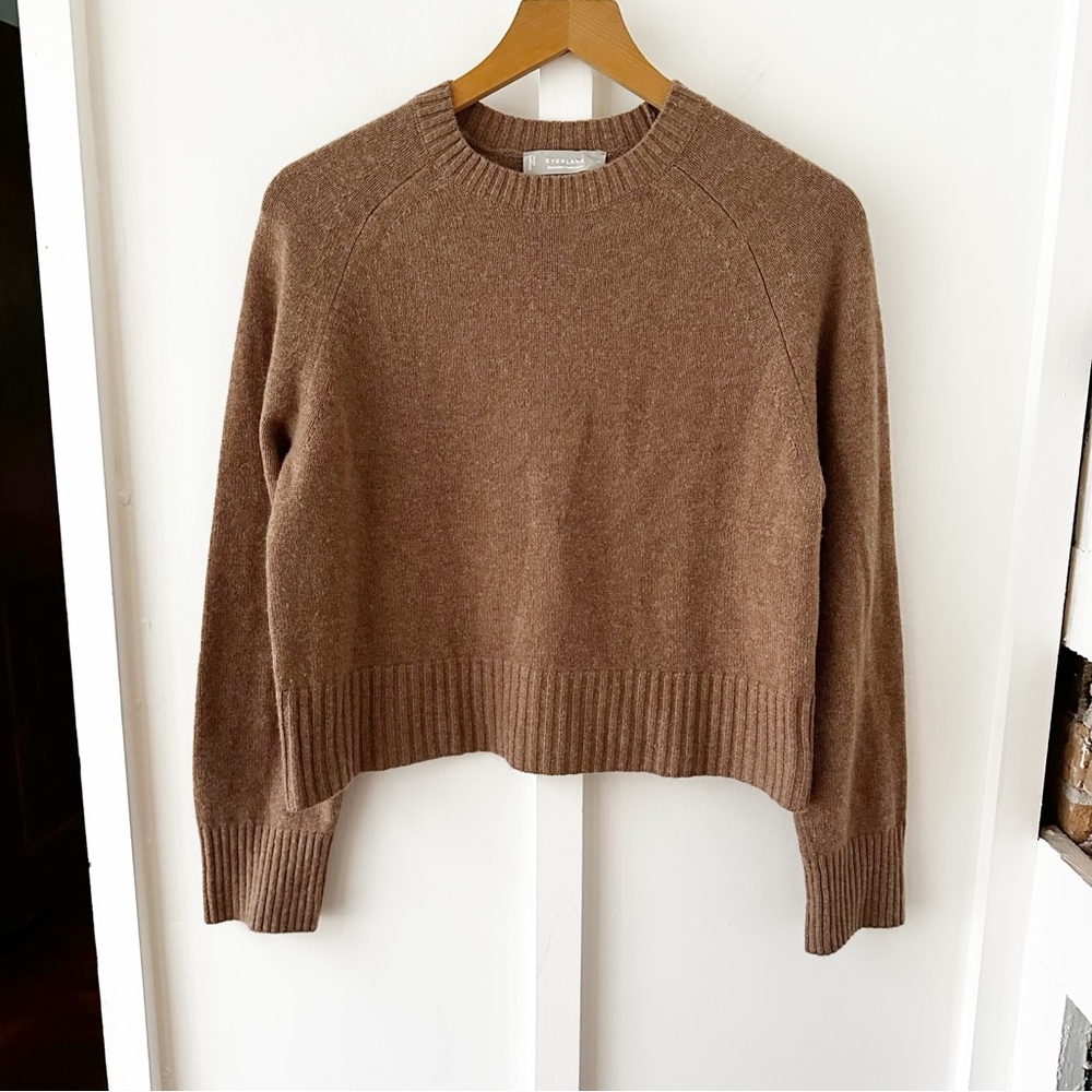 EVERLANE brown the boxy crew cashmere sweater
